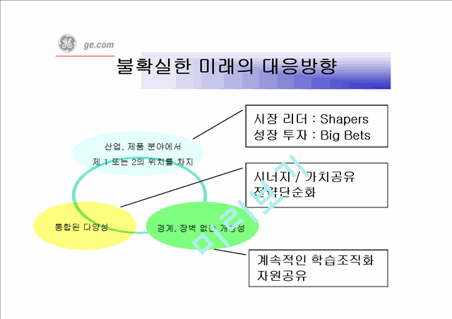 GE(General Electric)의 경영혁신   (7 )